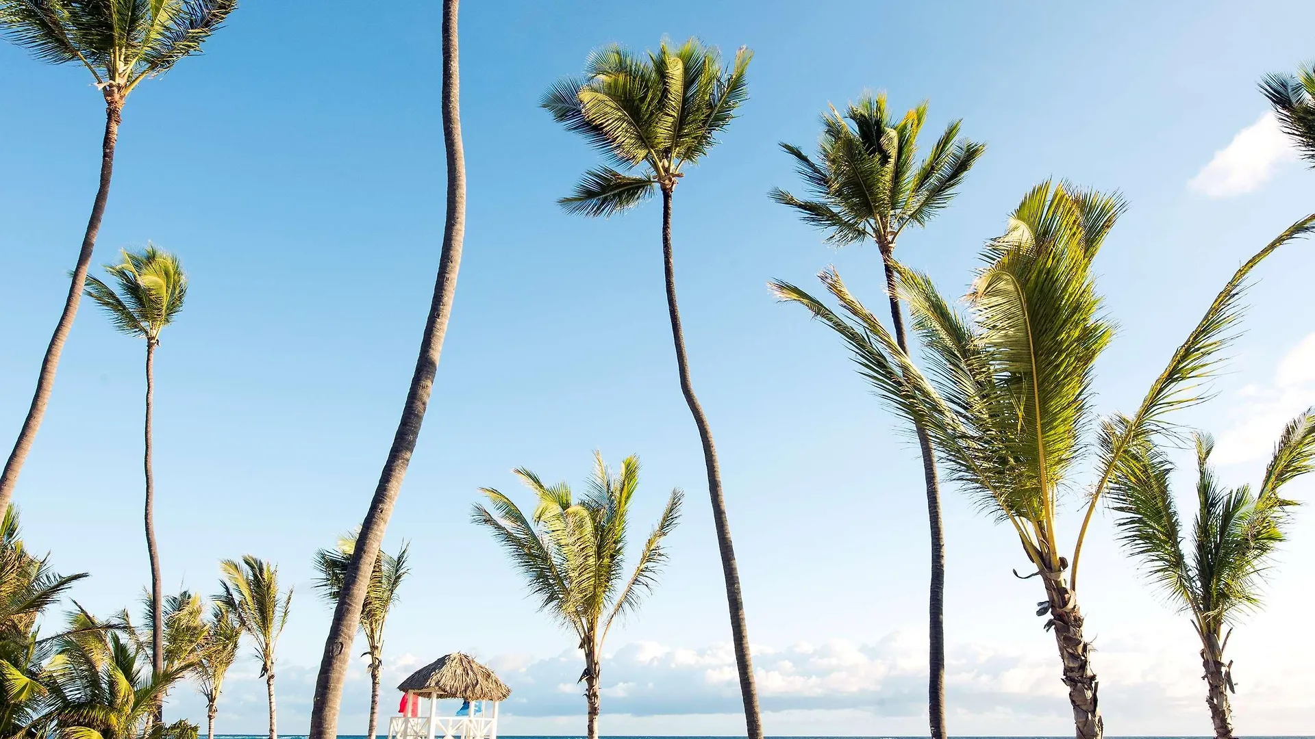***** Üdülőközpont Occidental Punta Cana Dominikai Köztársaság